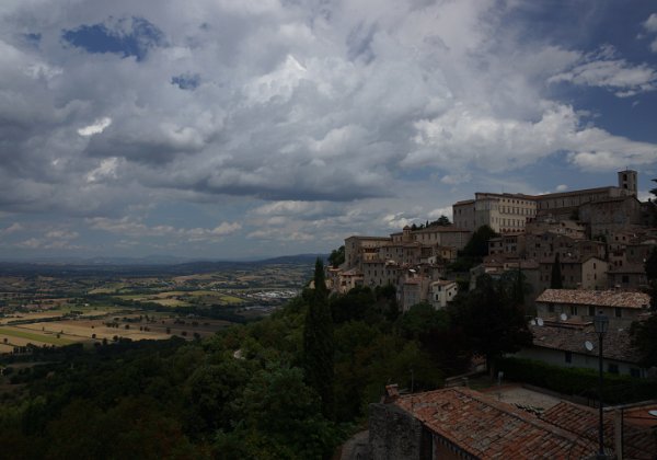 Todi