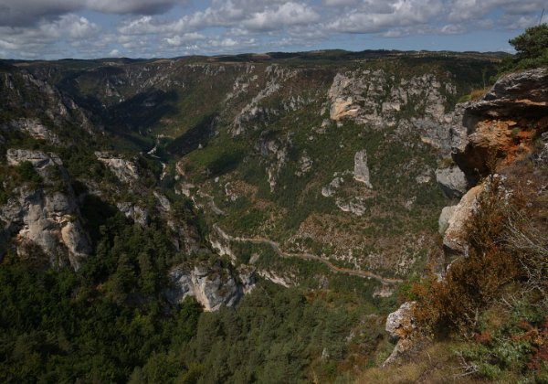 Gorges du Tarn